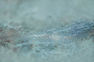 Golvend spinnenweb met druppels. 1 van Alie Ekkelenkamp