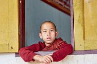 Jonge Monnik die een festival bekijkt,  Myanmar.
