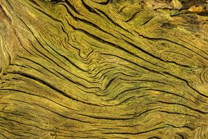 Holzmaserung