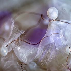 Les liens entre les gens sur Eugene Winthagen