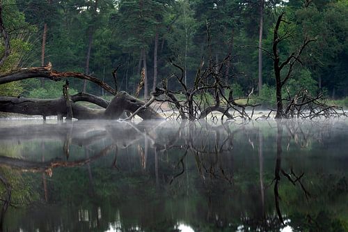 Oisterwijk weerspiegeling Van Esschenven
