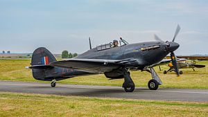 Sondermodell der Royal Air Force Hawker Hurricane Mk IIc.