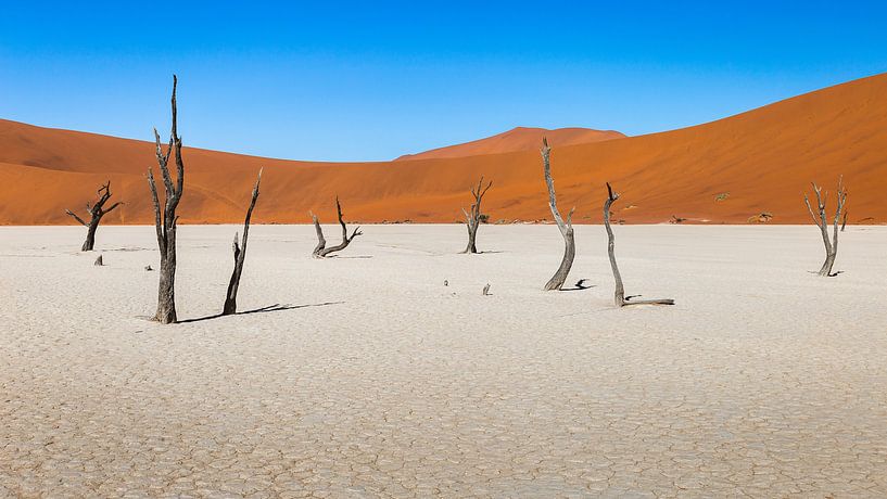 Panorma van Dodevlei in Namibië van OCEANVOLTA