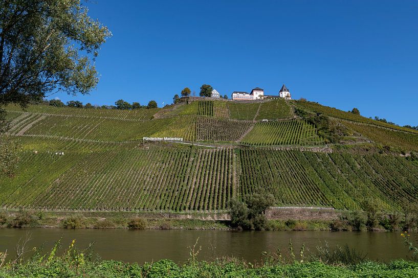 Pünderich by Richard Wareham