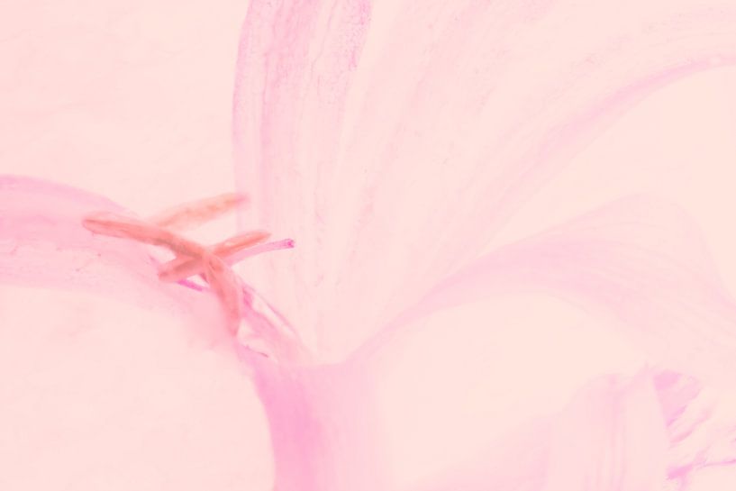 Nerine in ice 1 by Marc Heiligenstein
