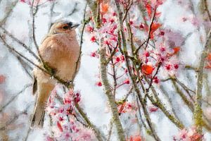 Finch profitant de la floraison printanière (peinture)