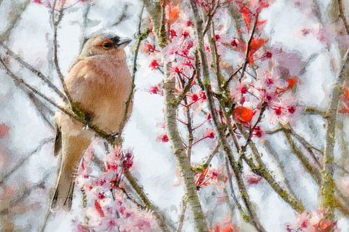 Finch enjoying the spring blossom (painting)