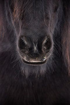 Beauté noire sur Elisa in Iceland