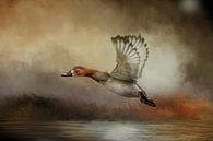 Fliegende Ente über Wasser in der Herbstlandschaft von Diana van Tankeren Miniaturansicht