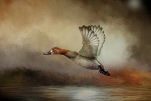 Canard volant au-dessus de l'eau dans un paysage automnal sur Diana van Tankeren