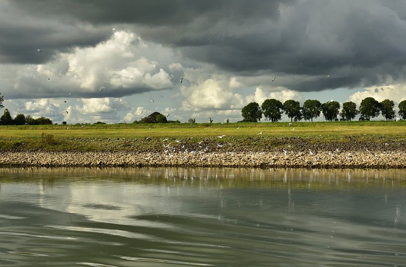 The Netherlands by Rika Roozendaal