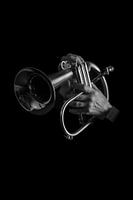 Signalhorn