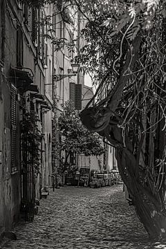 In het centrum van de wijk Trastevere