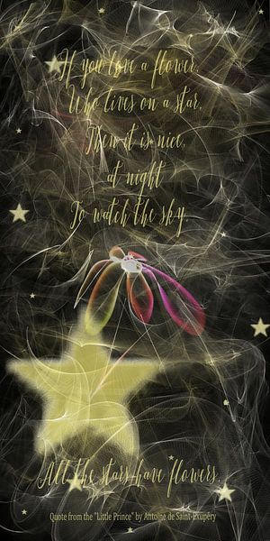 Toutes les étoiles ont des fleurs .... par Christine Nöhmeier