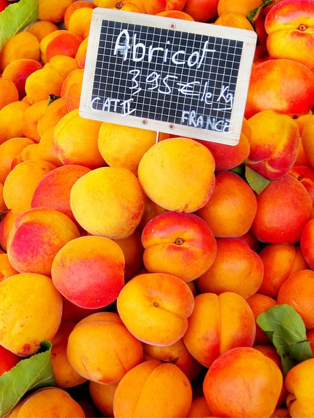 Apricots by Nanette de Jong