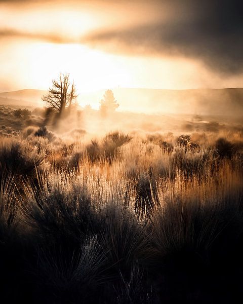 L'automne en Laponie par fernlichtsicht