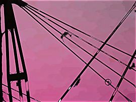 Lines on deck von Ready Or Not