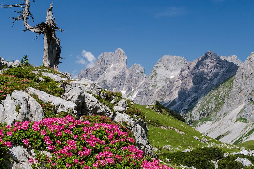 Berglandschaft "Frühling in den Alpen" von Coen Weesjes