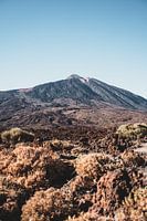 El Teide