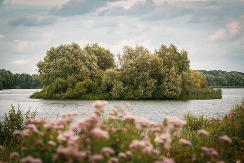 Little island in the Nuldernauw