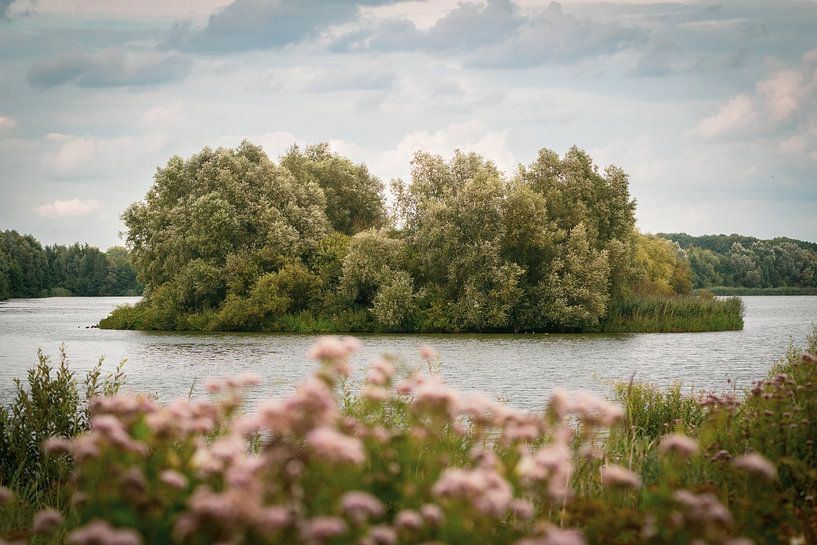 Kleine Insel in der Nuldernauw von Margreet Riedstra