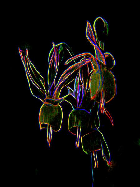 Luminous flower by Henryk Rybak