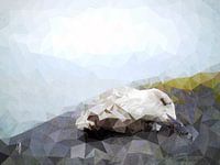 Möwe