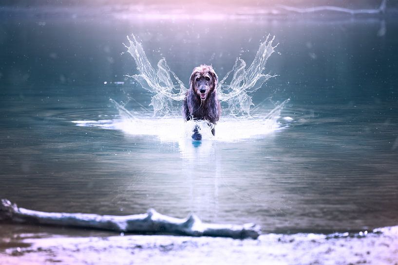 waterspirit by Kim van Beveren