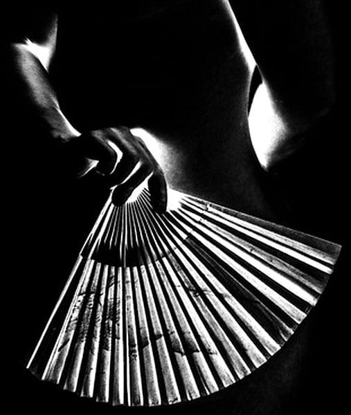 The fan by Norbert Sülzner