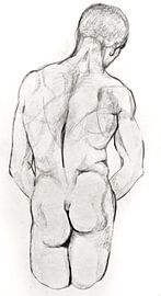 Zeichnung des Rückens eines Mannes. von Therese Brals