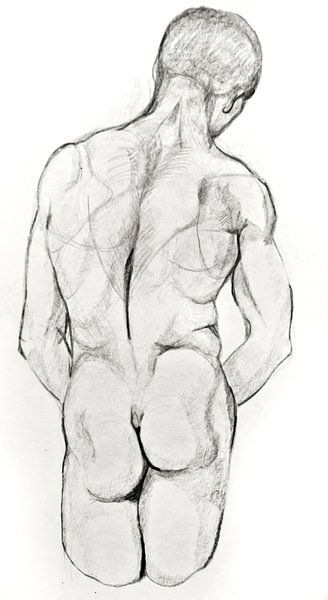 Zeichnung des Rückens eines Mannes. von Therese Brals