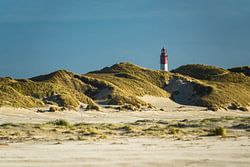 Landschaft in den Dünen auf der Insel Amrum