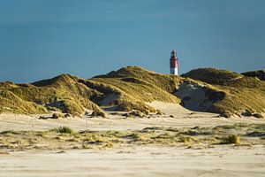 Landschaft in den Dünen auf der Insel Amrum von Rico Ködder