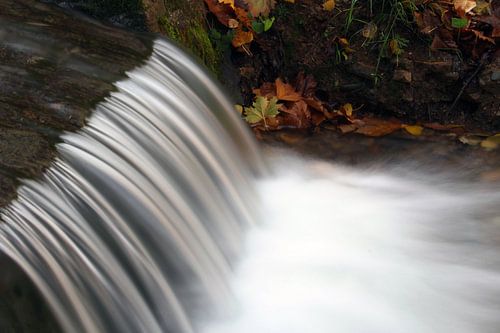 Le mouvement de l'eau 