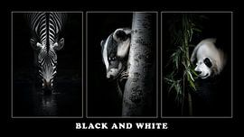 Faune et flore - Noir et blanc sur Karina Brouwer