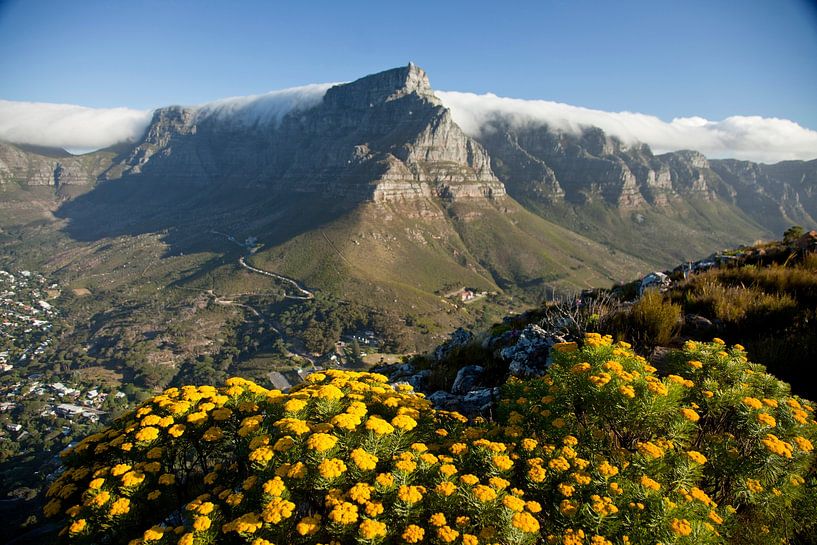 Tafelberg in Kapstadt,  Südafrika von Peter Schickert