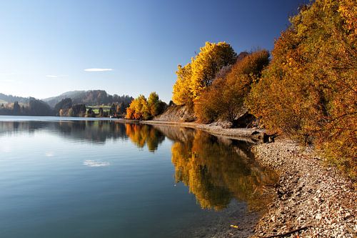 Herbst am Forggensee