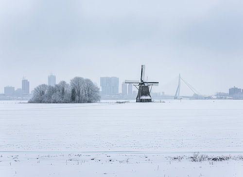 Old windmill in the landscape et the skyline of Rotterdam in the Background.