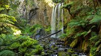 Hopetoun Falls, Victoria Australie van Chris van Kan thumbnail