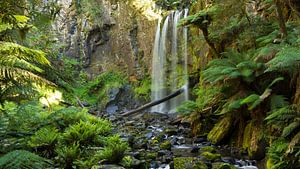 Hopetoun Falls, Victoria Australie van Chris van Kan