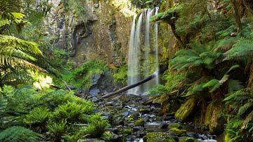 Hopetoun Falls, Victoria Australia by Chris van Kan