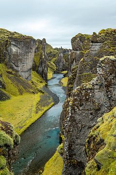 De rivierkloof Fjaðrárgljúfur van Marco Schep