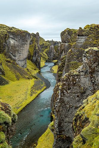 De rivierkloof Fjaðrárgljúfur