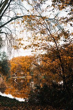 Herbstliche Aussicht in Naarden Vesting, Niederlande von Suzanne Spijkers