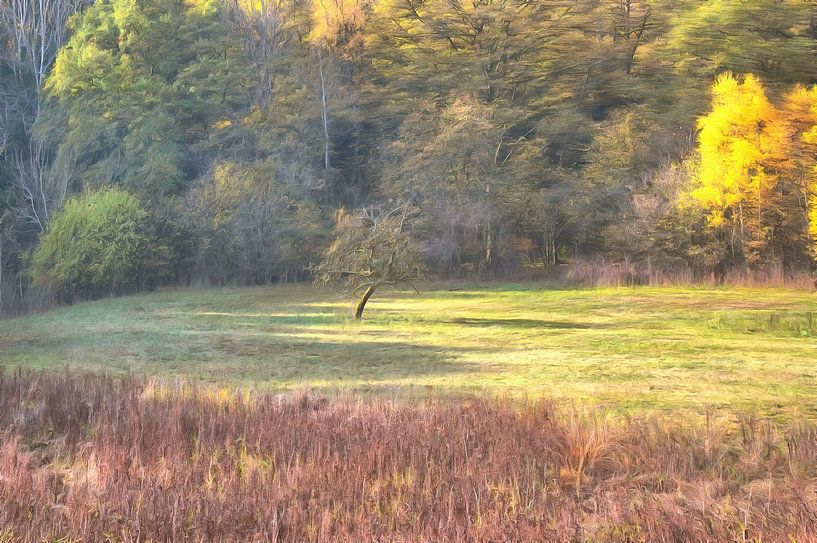 Landschap van Tomas S.