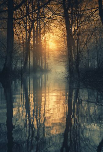 Dawn in the autumn forest