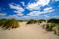 Duinen op Texel (De Hors)