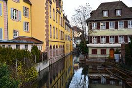 Colmar von Ingrid de Vos - Boom