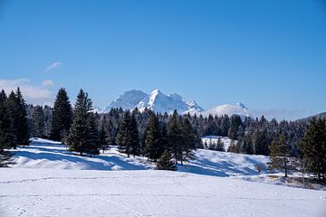 Verschneite Buckelwiesen bei Mittenwald, eingebettet in die winterliche Bergwelt der Alpen.