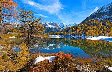 La magie de l'automne au lac Duisitzkar sur Christa Kramer